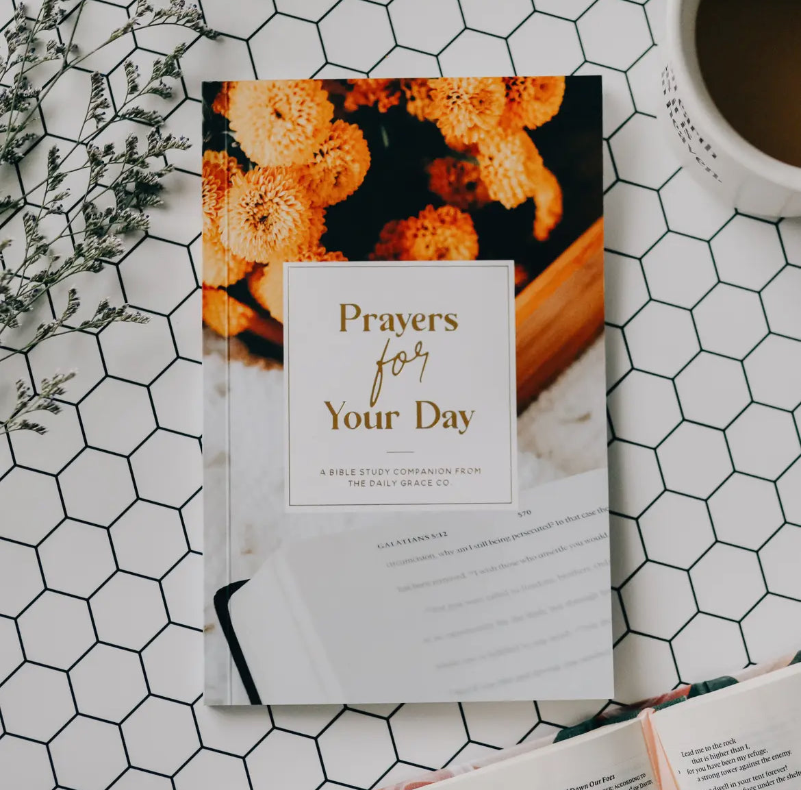 DAILY GRACE PRAYERS FOR YOUR DAY