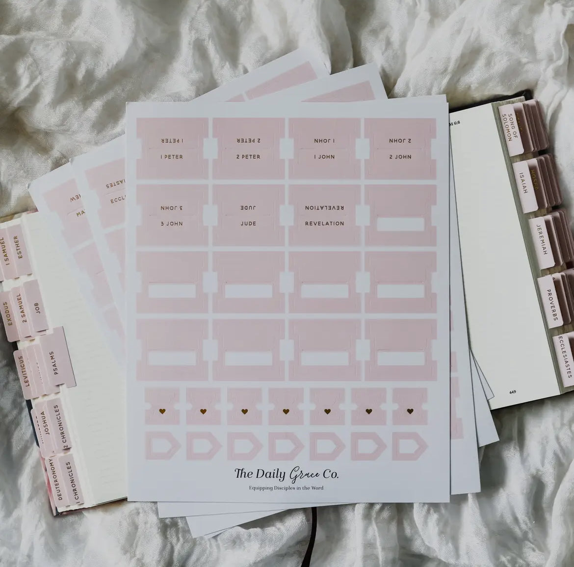 DAILY GRACE BLUSH BIBLE TABS
