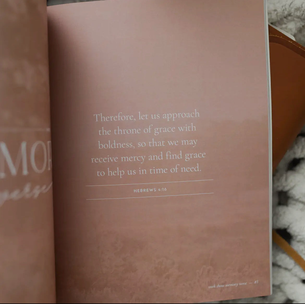 DAILY GRACE IT IS WELL ANXIETY STUDY BOOK