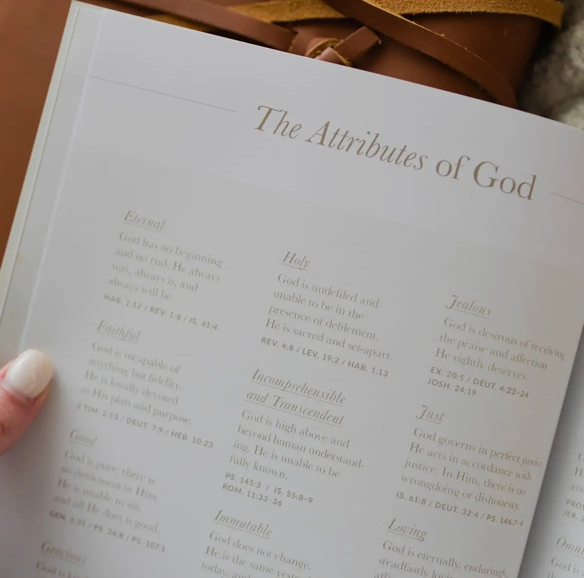 DAILY GRACE IT IS WELL ANXIETY STUDY BOOK