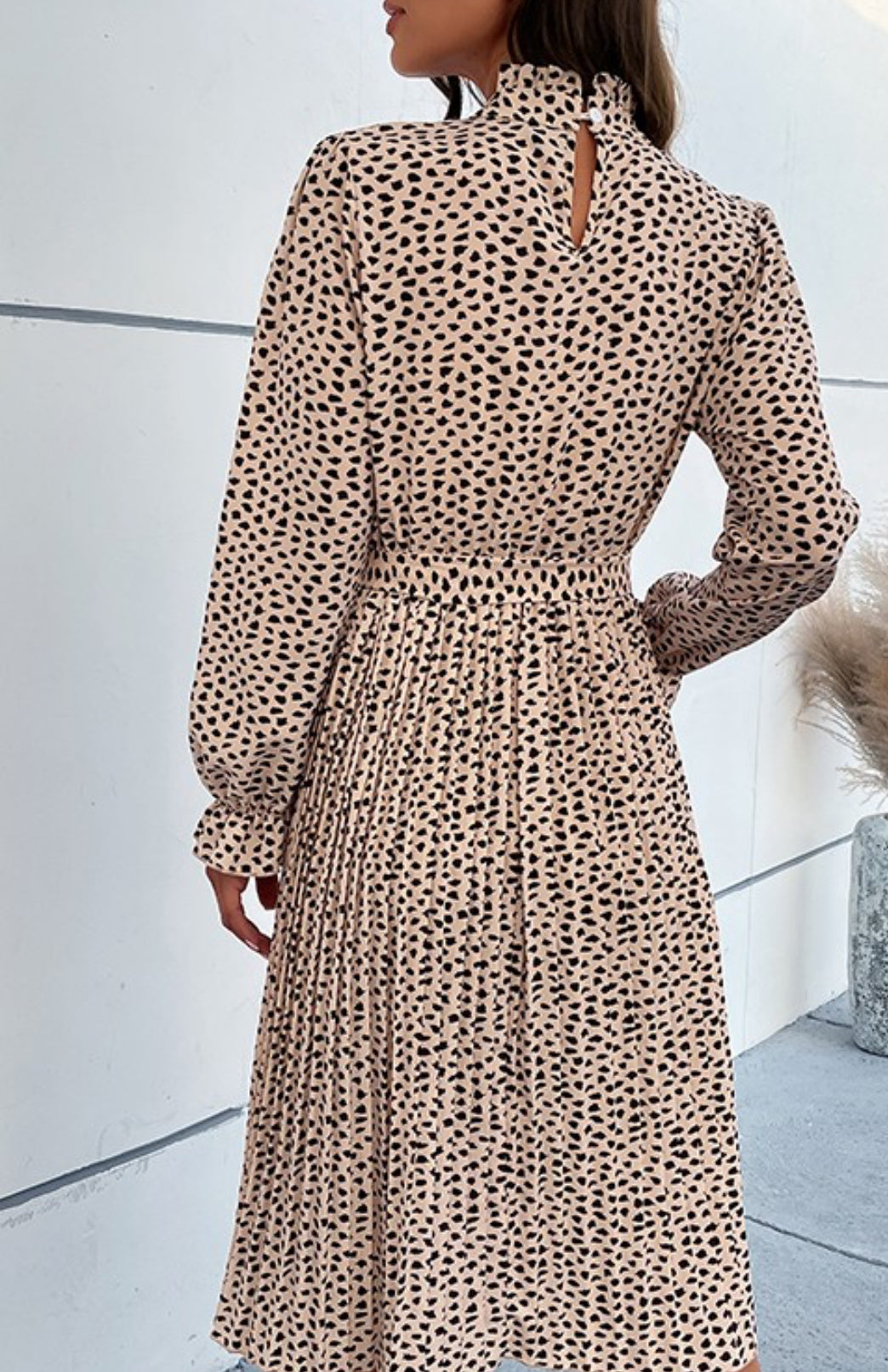 Jim and Nora L/S A Line Dress Apricot